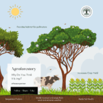 benefits of agroforestry