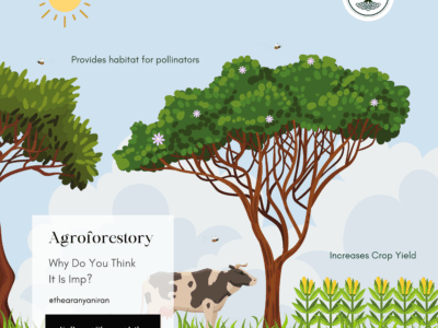 benefits of agroforestry